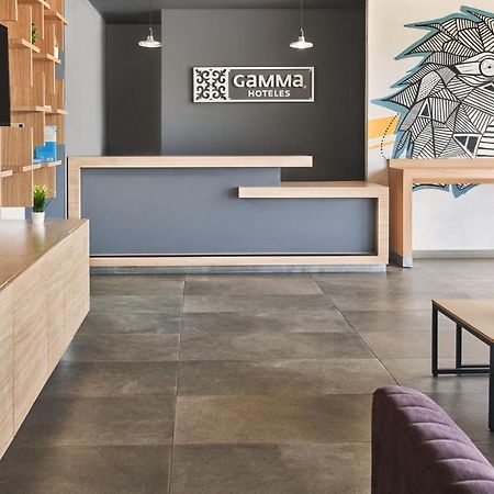 Gamma Queretaro酒店 外观 照片
